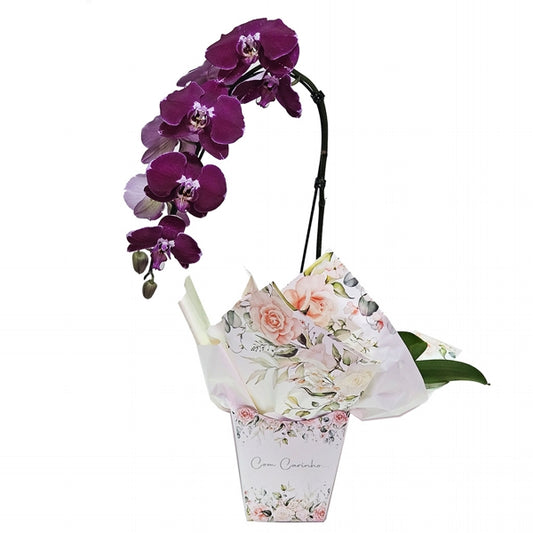 Lilac Orchid With Love
