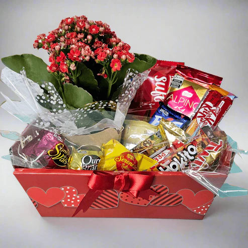 Affection Basket with Chocolates and Flowers