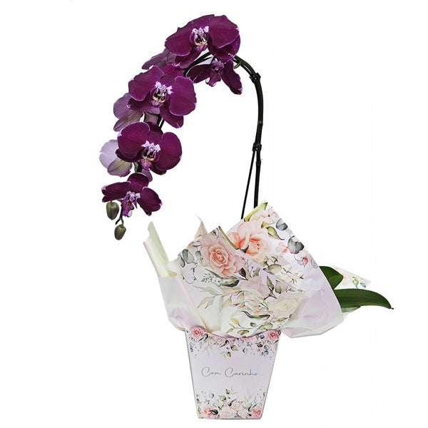 Lilac Orchid With Love