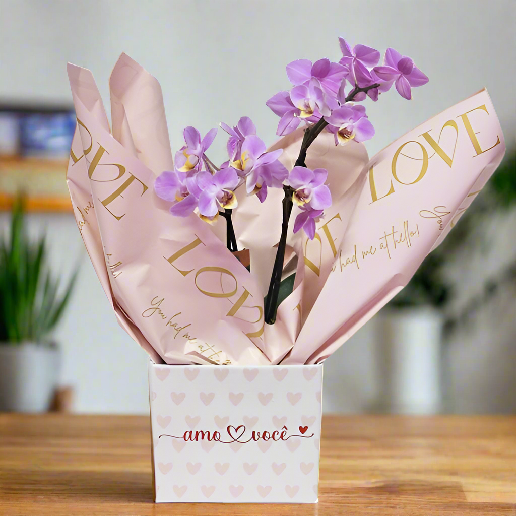 Orquídea Romántica Mini