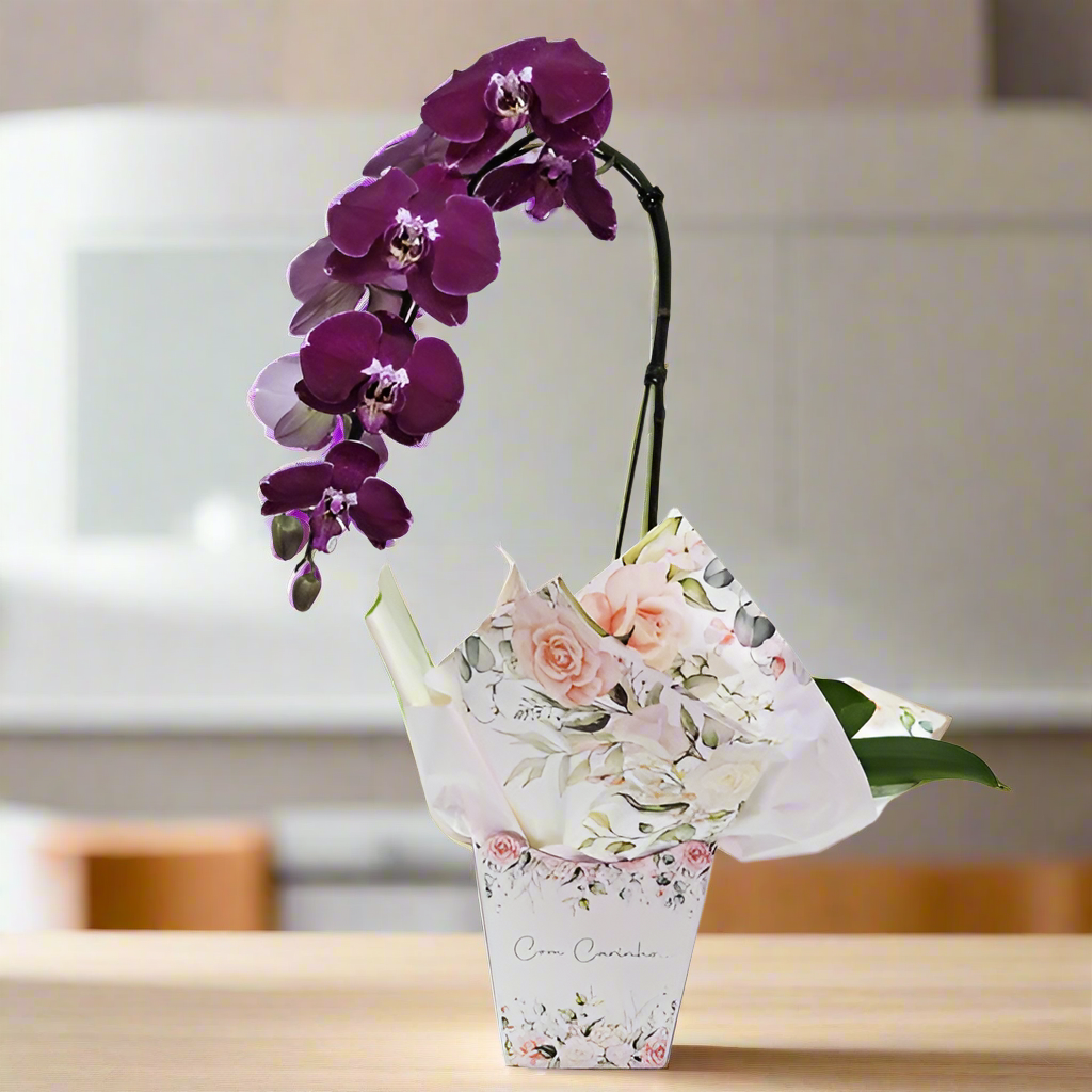 Lilac Orchid With Love
